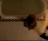 constantine_422.jpg